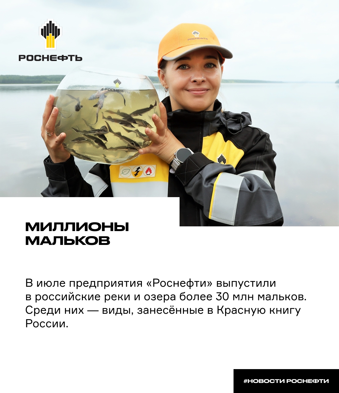 Миллионы мальков В июле предприятия «Роснефти»выпустили в российские реки и озёра более 30 млн мальков