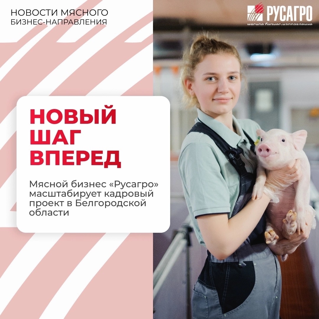 «Молодежная ферма» - уникальный проект Мясного бизнеса «Русагро», который уже объединил десятки молодых специалистов АПК в разных регионах России, теперь…