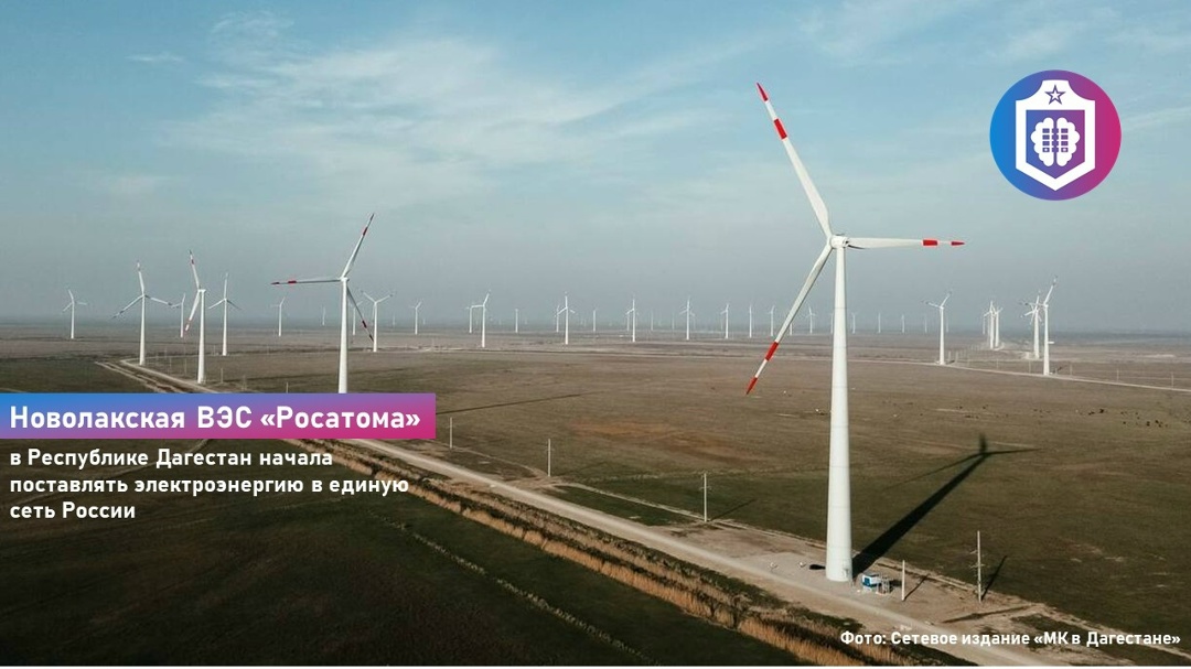 #Когнитивная_Витаминка Выпуск № 357
05.08.2026