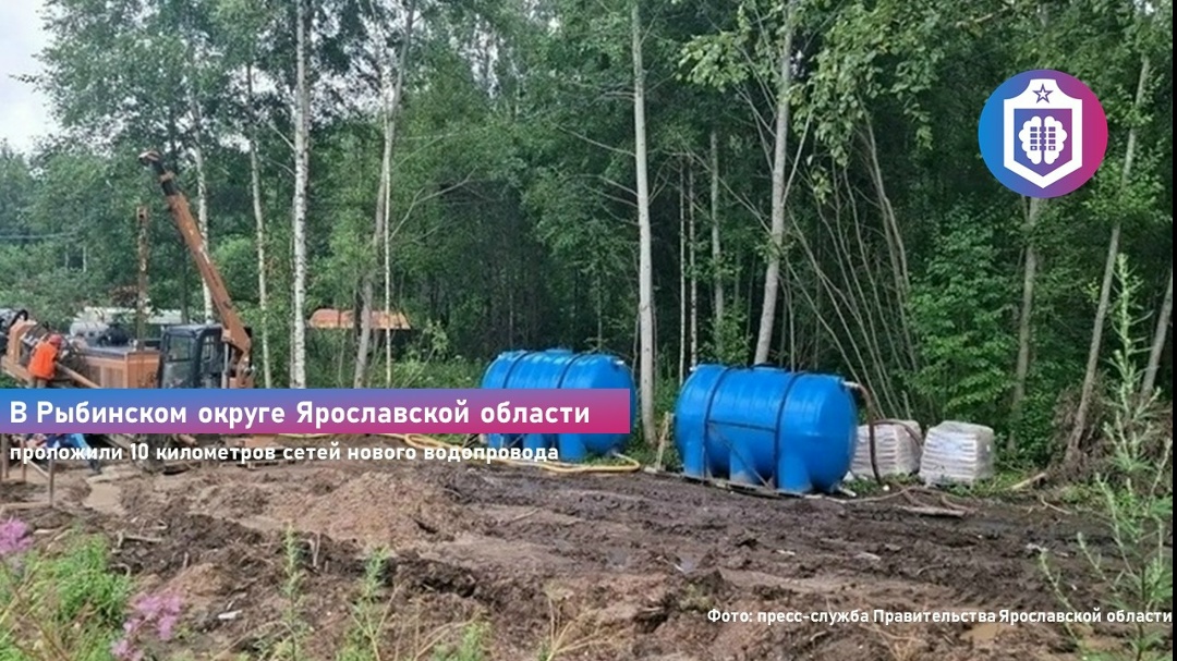 #Когнитивная_Витаминка Выпуск № 358
07.08.2026