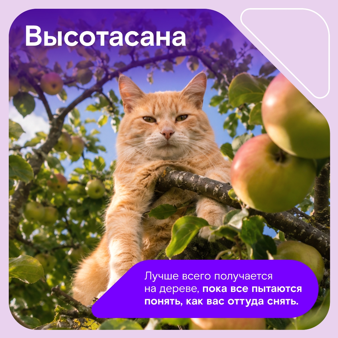 Иногда всем нам хочется простого человеческого… побыть котом на даче, чтобы греться на солнышке и бесконечно получать внимание.