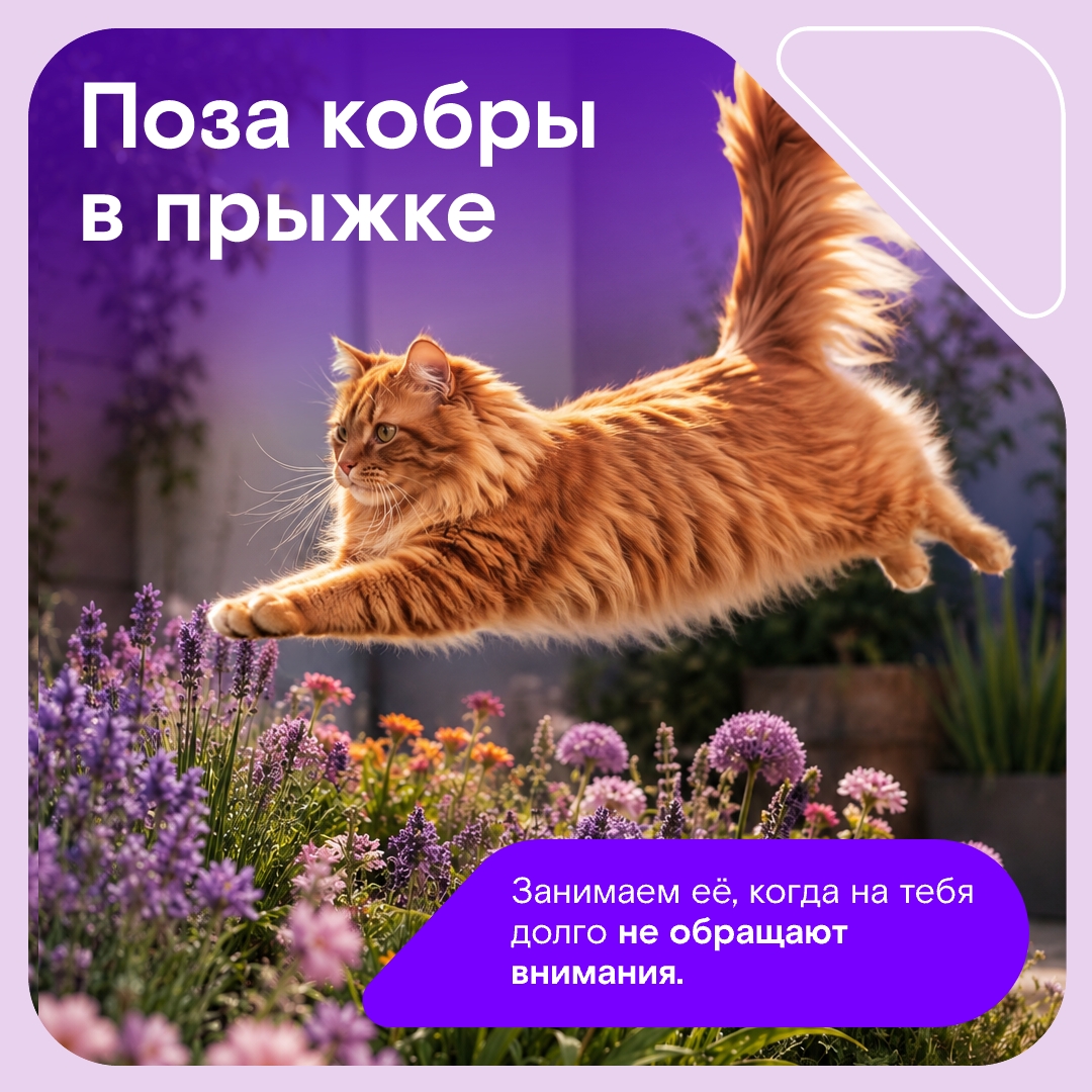 Иногда всем нам хочется простого человеческого… побыть котом на даче, чтобы греться на солнышке и бесконечно получать внимание.