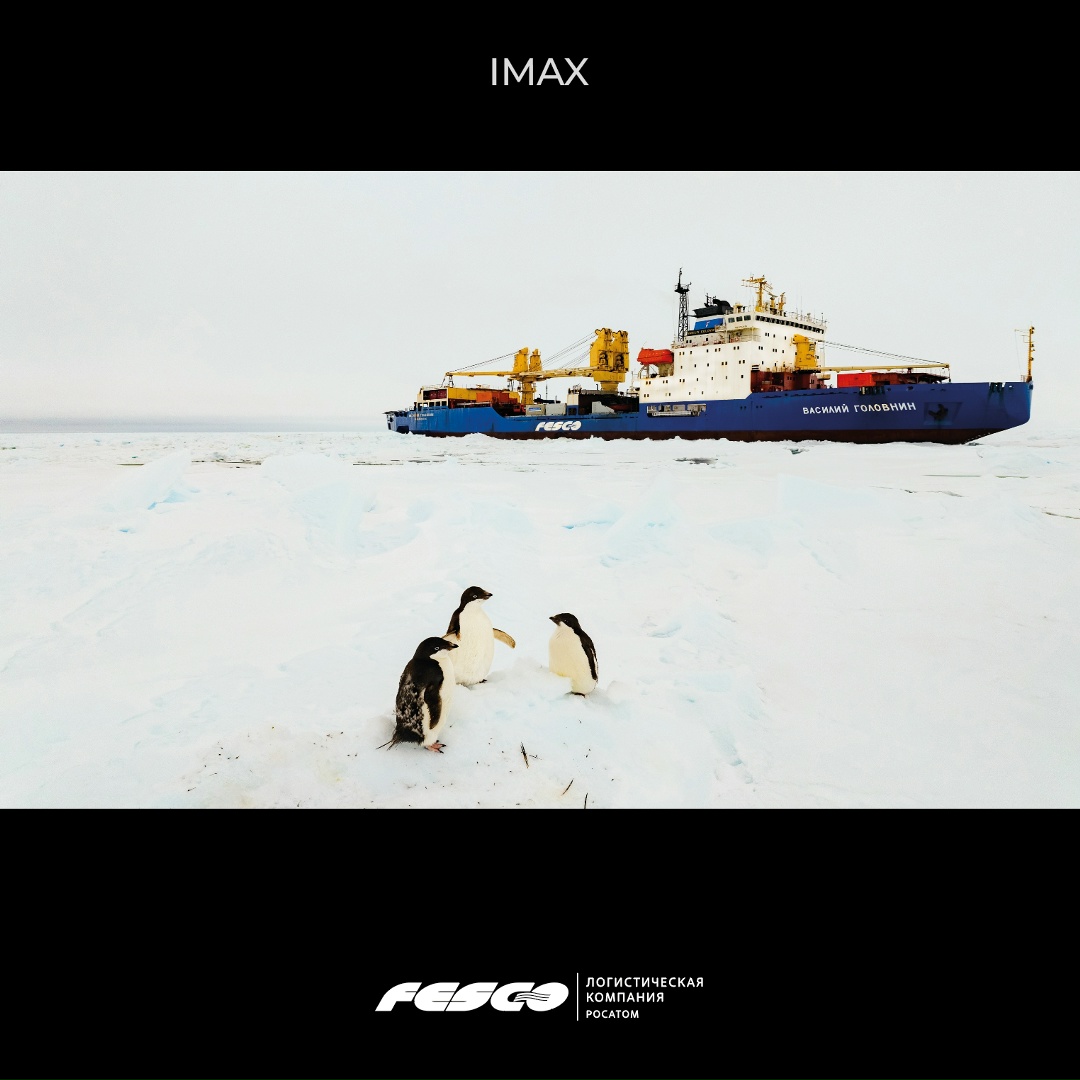 FESCO выходит в IMAX К главному визуальному тренду августа присоединились и мы. Показываем, как в разных форматах выглядят суда FESCO, Владивостокский морской…