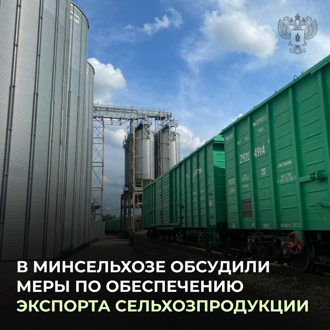Оксана Лут провела совещание по вопросам реализации зерна и формирования альтернативных логистических маршрутов для экспорта сельхозпродукции.