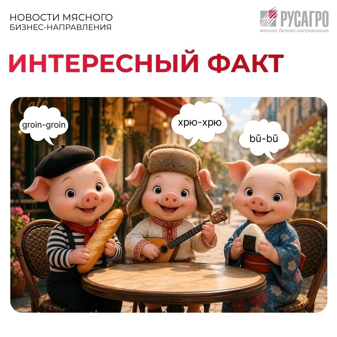Друзья, бытует мнение, что свиньи в зависимости от страны, на территории которой они находятся, хрюкают по-разному: поросята из Европы издают грубые звуки, а…