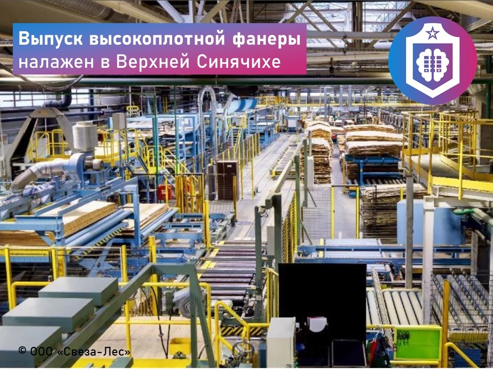 #Когнитивная_Витаминка Выпуск № 360 14.08.2026