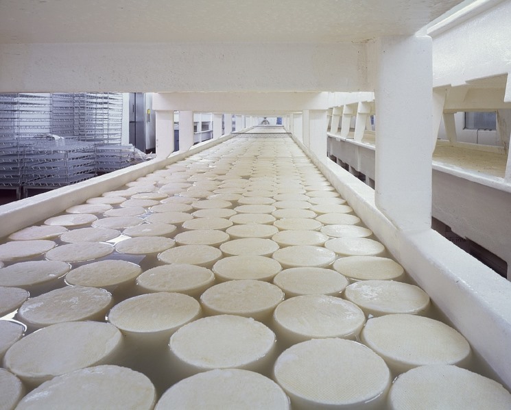 Завод по производству сыров и сухих молочных продуктов «Звезда Подмосковья» на территории сырного кластера в Дмитровском округе готов на 80%, сообщила…