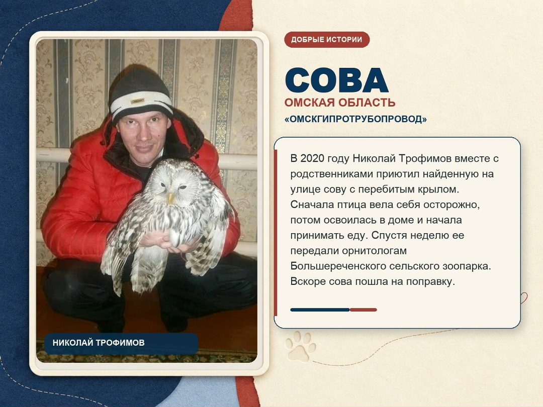 15 августа – Всемирный день бездомных животных