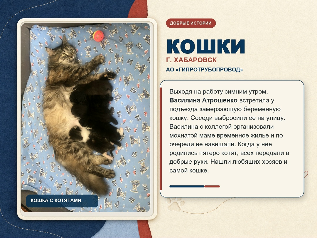 15 августа – Всемирный день бездомных животных