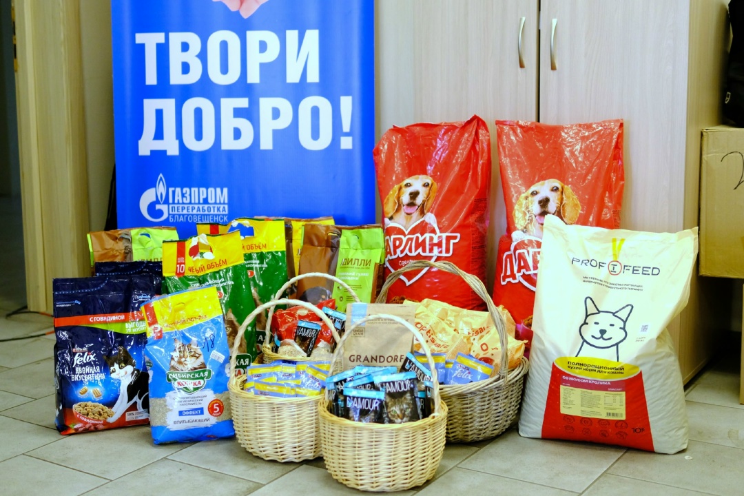 ДЕНЬ ПОМОЩИ БЕЗДОМНЫМ ЖИВОТНЫМ Волонтеры «Газпром переработка Благовещенск» помогли центру защиты бездомных животных