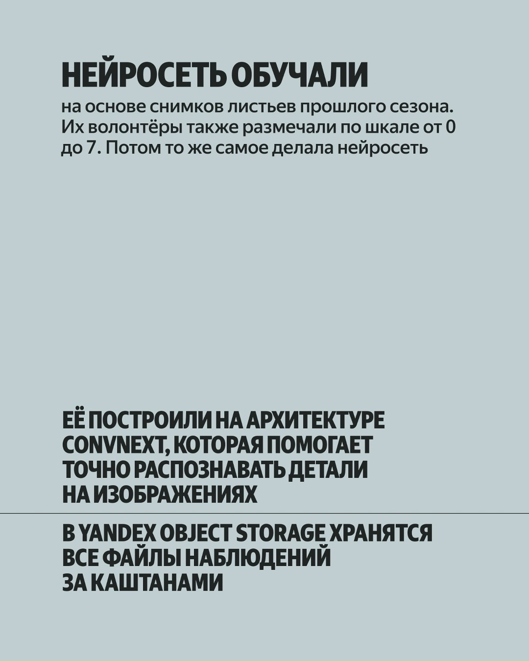 Деревья посреди лета выглядят так, будто уже наступила осень? Возможно, всё дело в каштановой минирующей моли: yandex.cloud/ru/blog/chestnut-compass