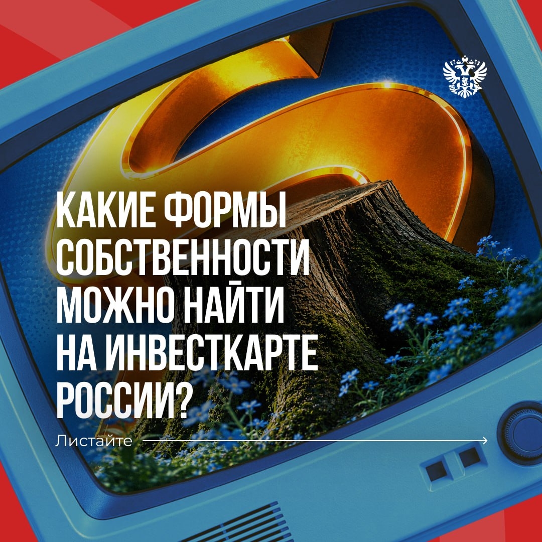 Главное, чтобы всё сложилось У каждого бизнес-проекта свои вводные: расположение, площадка, инфраструктура и ещё десятки деталей.