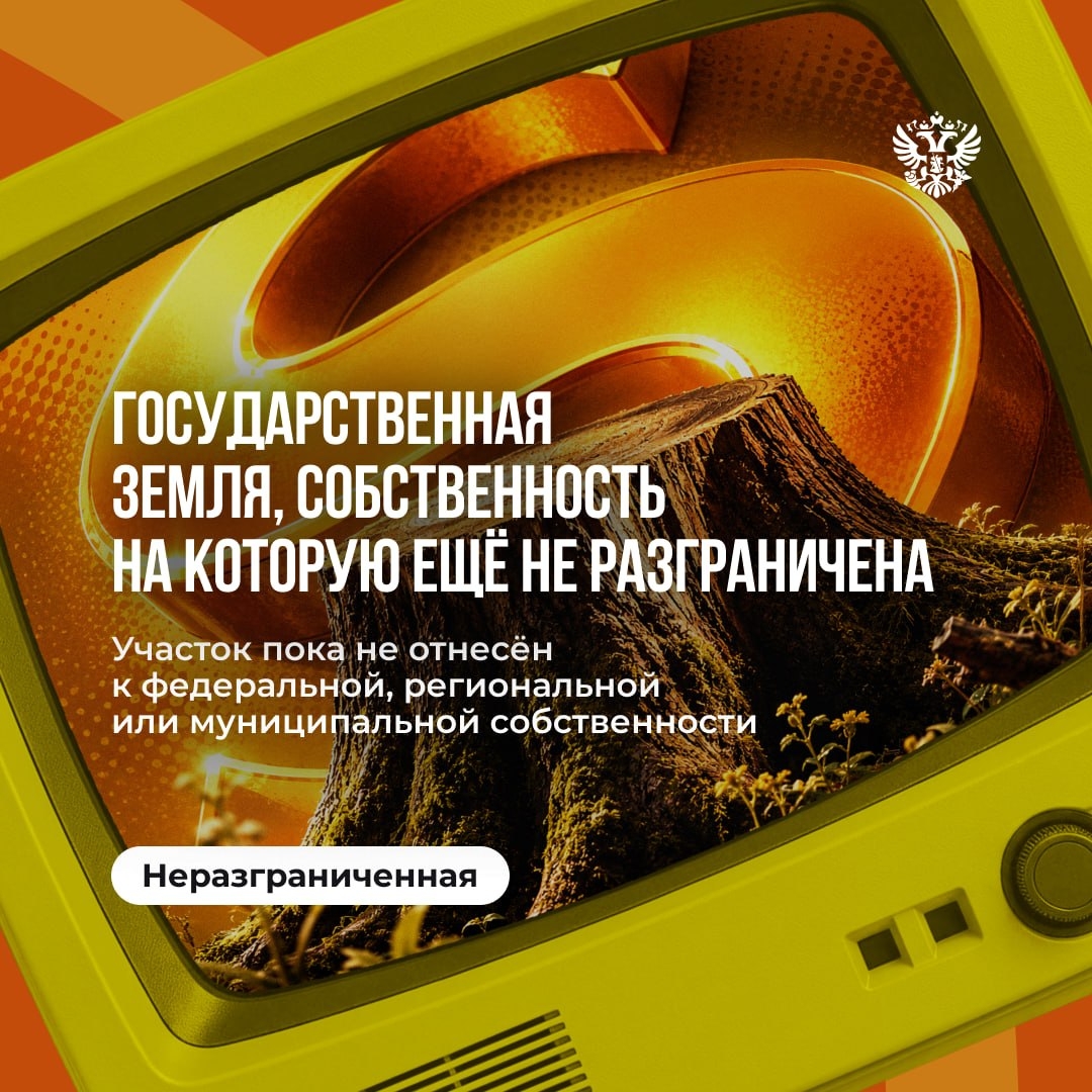 Главное, чтобы всё сложилось У каждого бизнес-проекта свои вводные: расположение, площадка, инфраструктура и ещё десятки деталей.