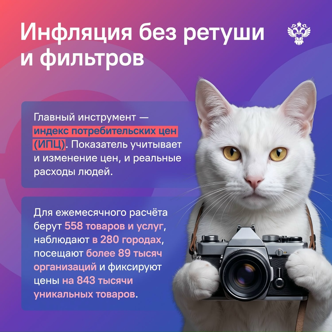 К Всемирному дню фотографии: как фотоаппараты влияют на инфляцию?