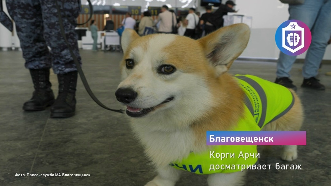 #Когнитивная_Витаминка Выпуск № 362
21.08.2026