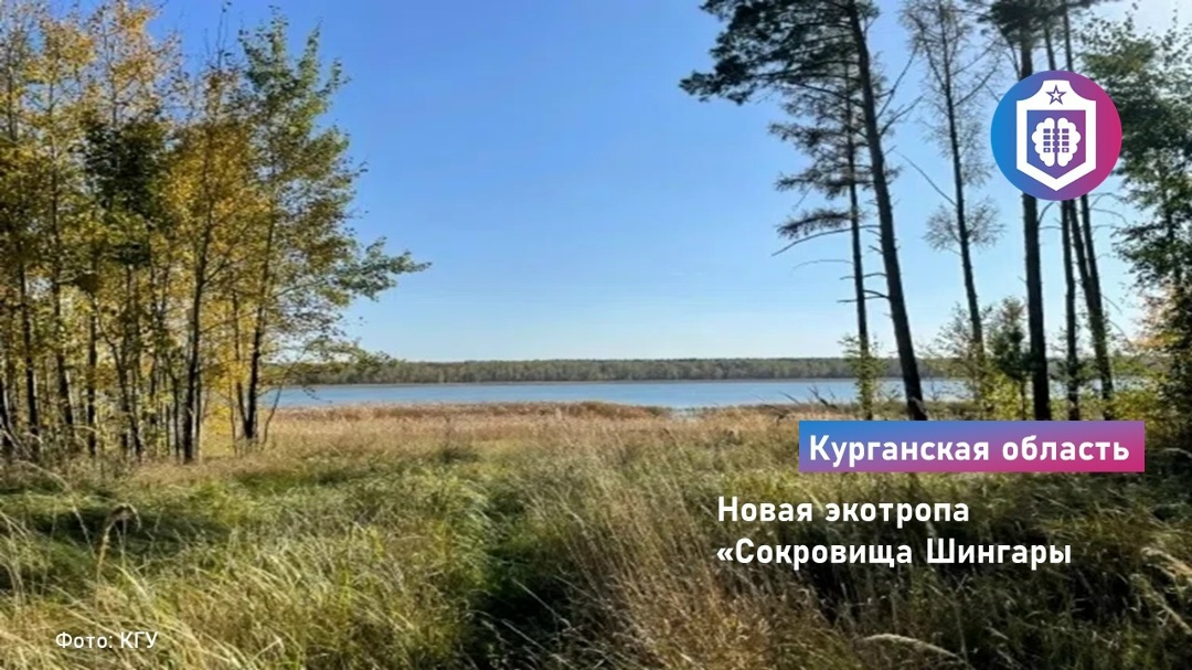 #Когнитивная_Витаминка Выпуск № 362
21.08.2026