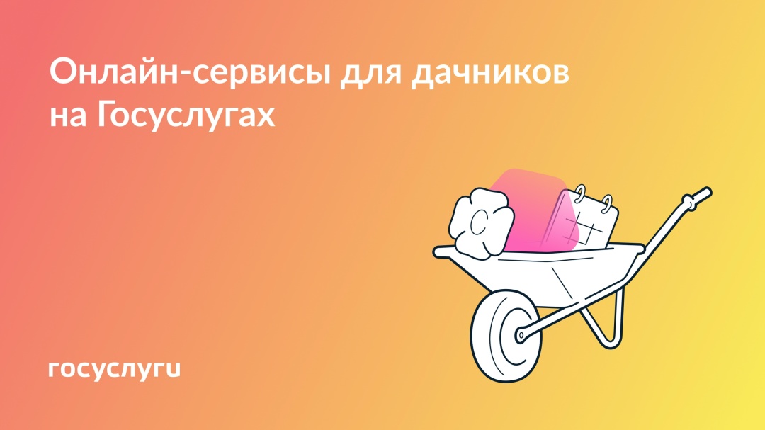Как Госуслуги помогают владельцам дачных участков