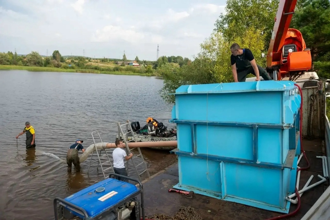 Большое новоселье в Каме 11 тысяч мальков стерляди сменили место жительства — с рыбной фермы на просторы Воткинского водохранилища Пермского края.
