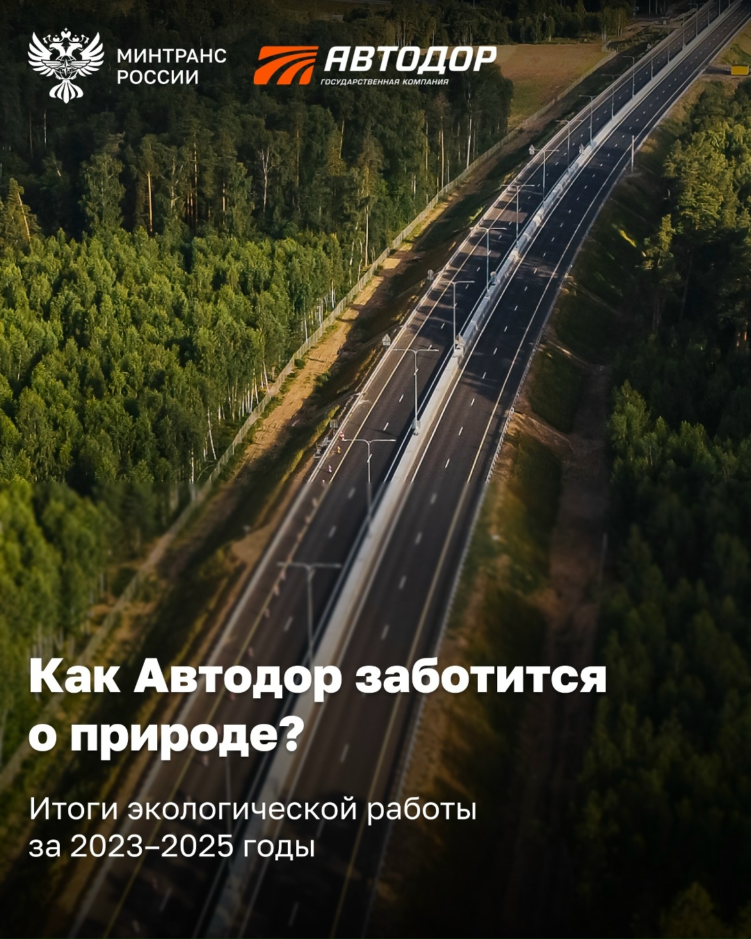 Автодор за три года высадил около 3 млн деревьев и создал на дорогах сеть экопереходов для диких животных