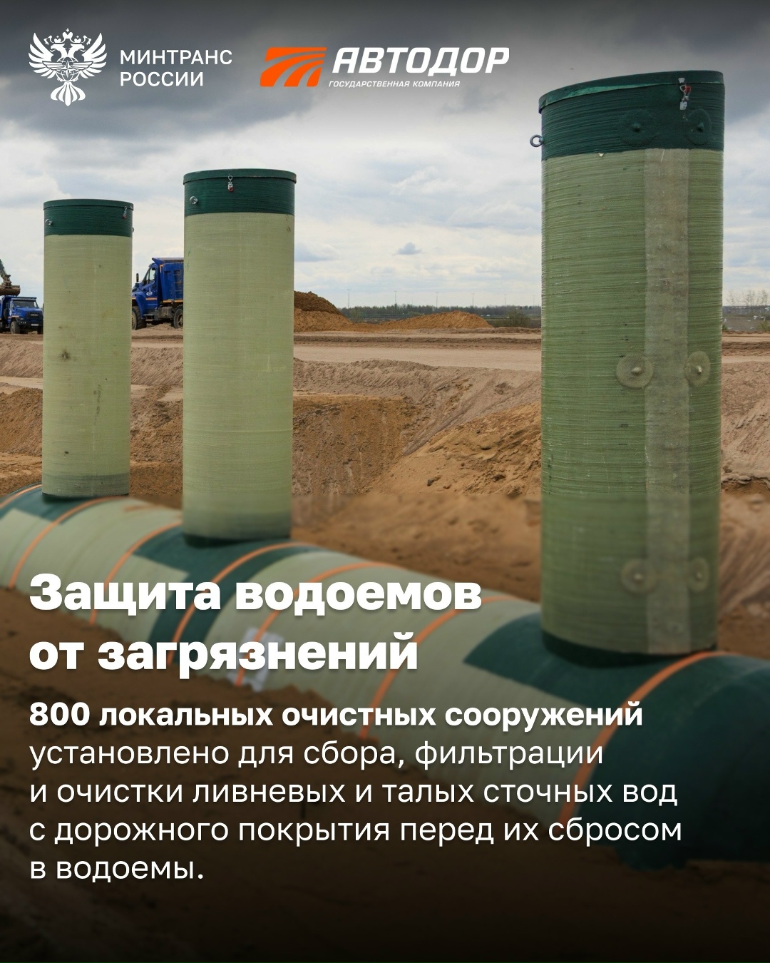 Автодор за три года высадил около 3 млн деревьев и создал на дорогах сеть экопереходов для диких животных