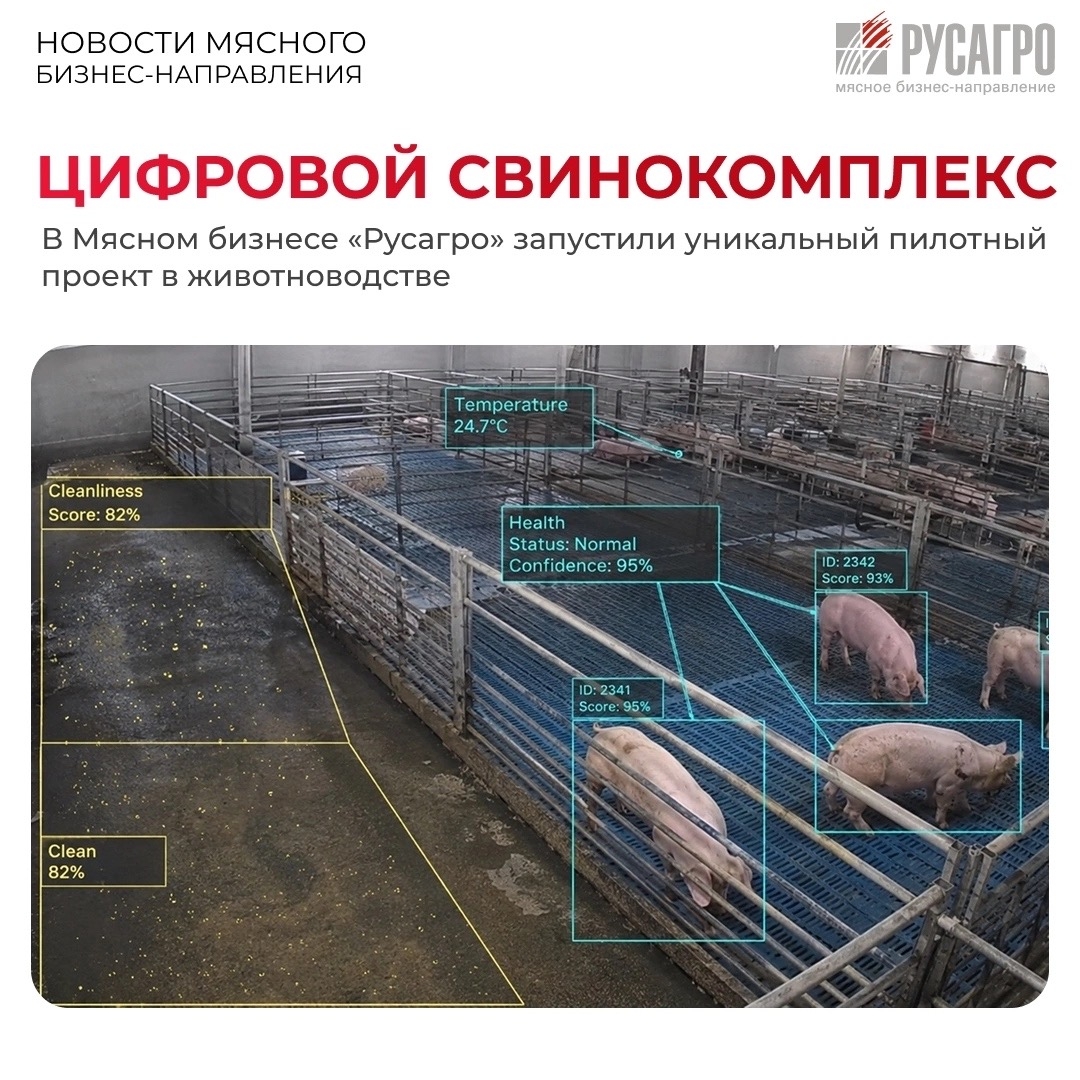 ️В Мясном бизнесе «Русагро» запустили уникальный пилотный проект, который может изменить вектор развития отечественного животноводства. На производственном…
