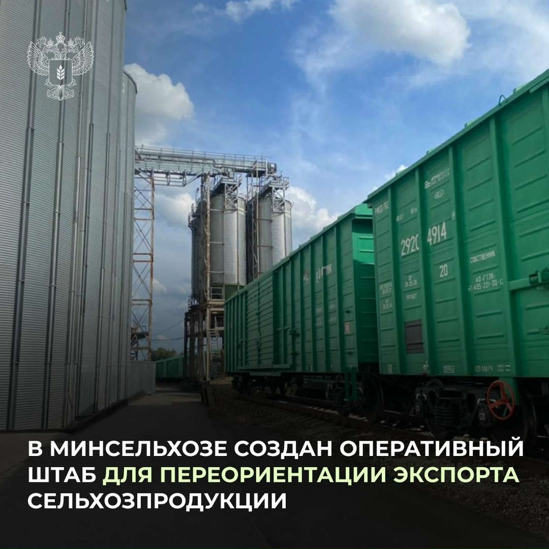 Штаб сформирован для выработки оперативных решений по переориентации грузовых потоков и устранению логистических ограничений при транспортировке…