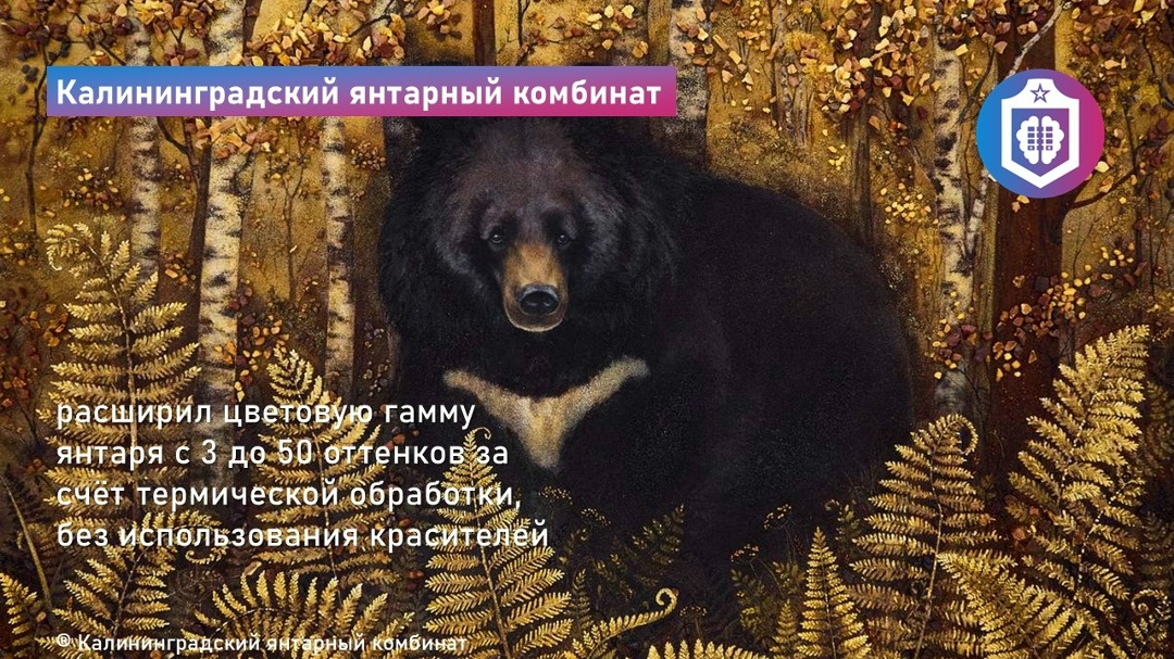 #Когнитивная_Витаминка Выпуск № 364 28.08.2026