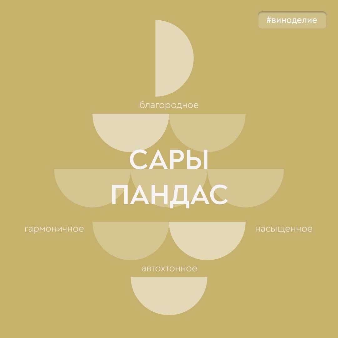 Крымская редкость Сегодня в нашей совместной с «Винным гидом России» рубрике #вино_недели – редкий автохтон из Крыма Сары Пандас.