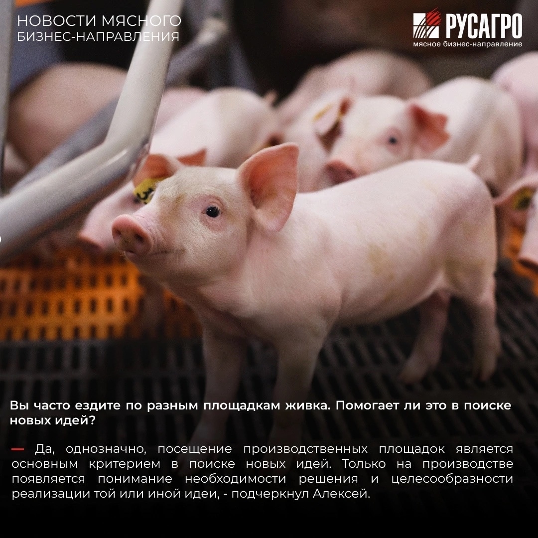 Творить, делать работу удобнее, а производство эффективнее можно в любых условиях, если точно знаешь свое дело