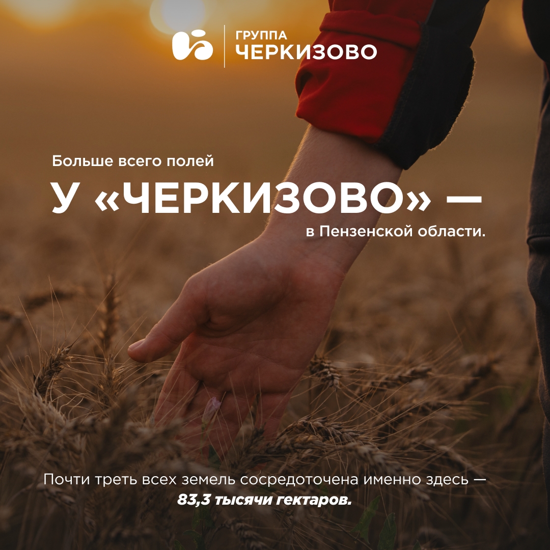 Мясо не растет на деревьях, но почему тогда производственный процесс Группы «Черкизово» начинается в полях?
