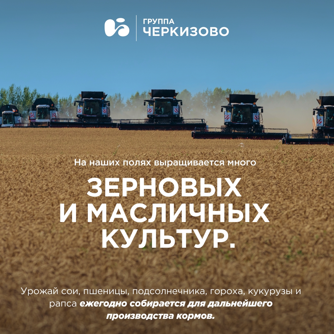 Мясо не растет на деревьях, но почему тогда производственный процесс Группы «Черкизово» начинается в полях?