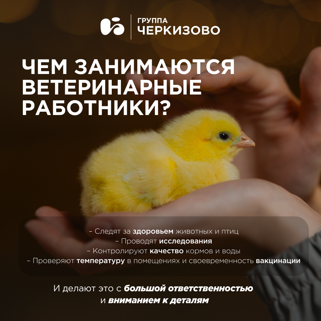 Ветеринарные врачи, эпизоотологи, специалисты ветеринарно-санитарной экспертизы, лаборанты, ветеринарные фельдшеры — обращаемся к вам, потому что сегодня ваш…