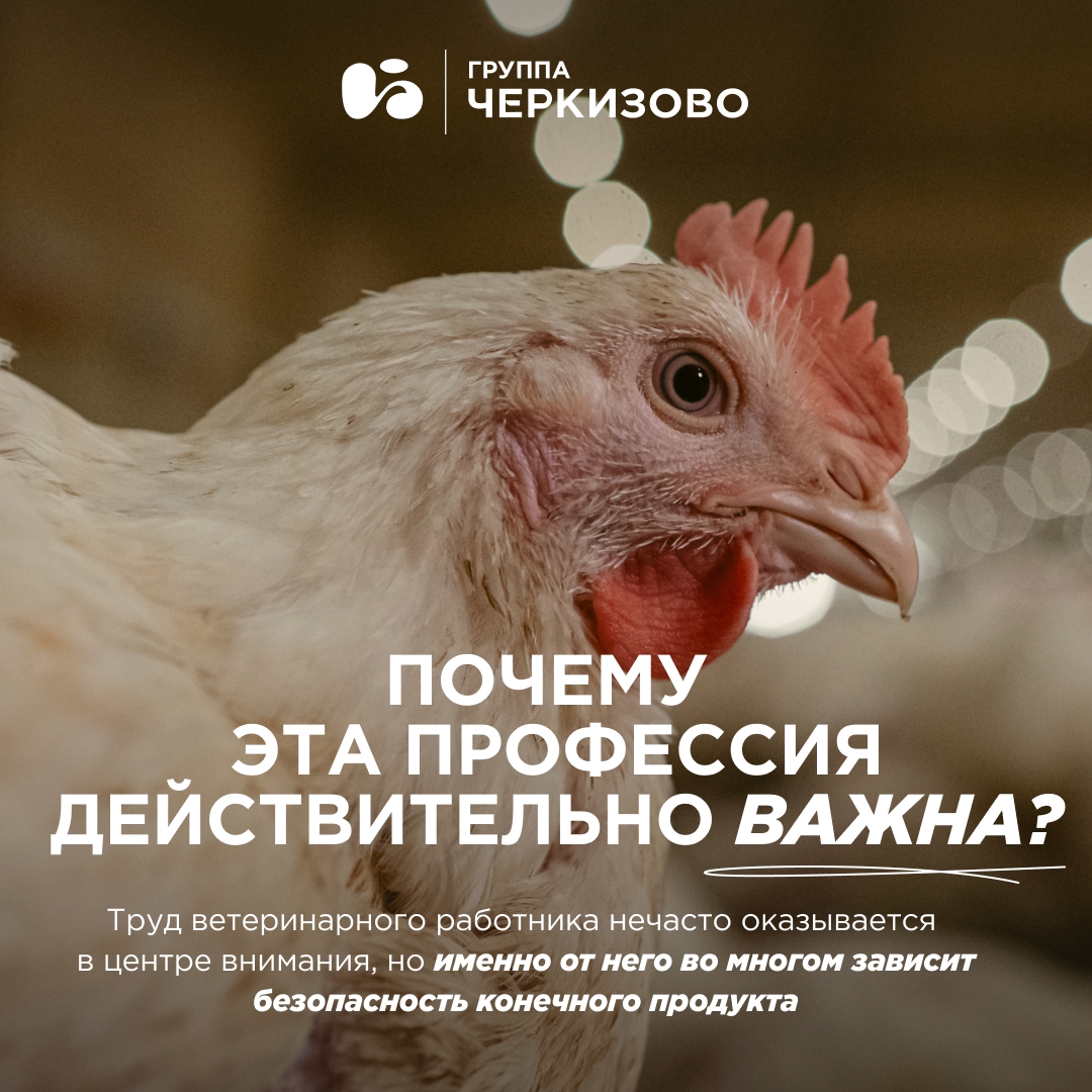 Ветеринарные врачи, эпизоотологи, специалисты ветеринарно-санитарной экспертизы, лаборанты, ветеринарные фельдшеры — обращаемся к вам, потому что сегодня ваш…