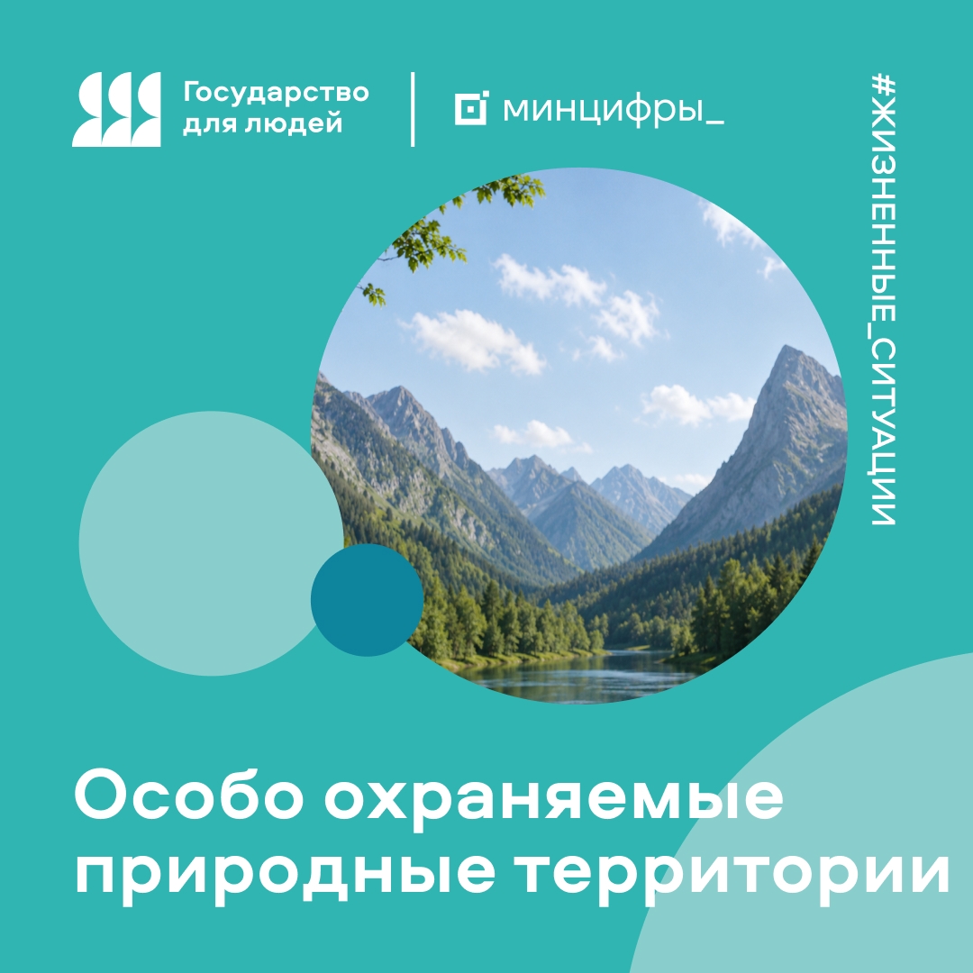 Жизненные ситуации на Госуслугах: как оформить разрешение в национальные парки, заповедники и заказники