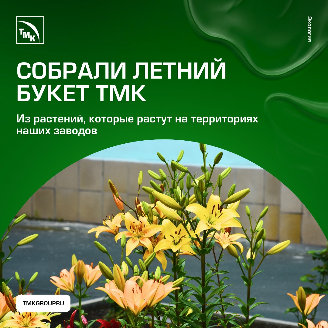 Что общего у заводской территории и летнего букета? Больше, чем кажется.