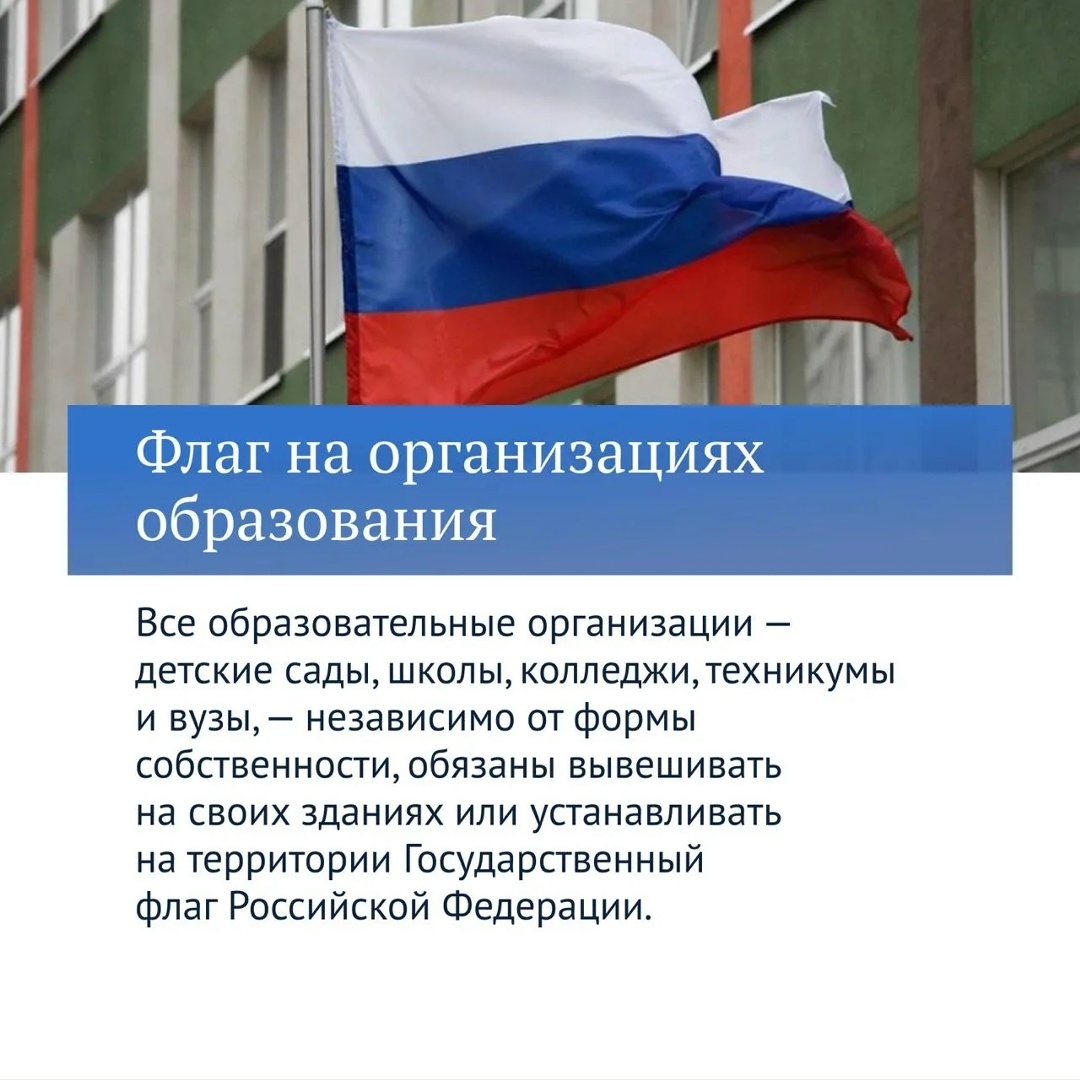 Новая часть главных законов VIII созыва посвящена вопросам повышения качества образования.