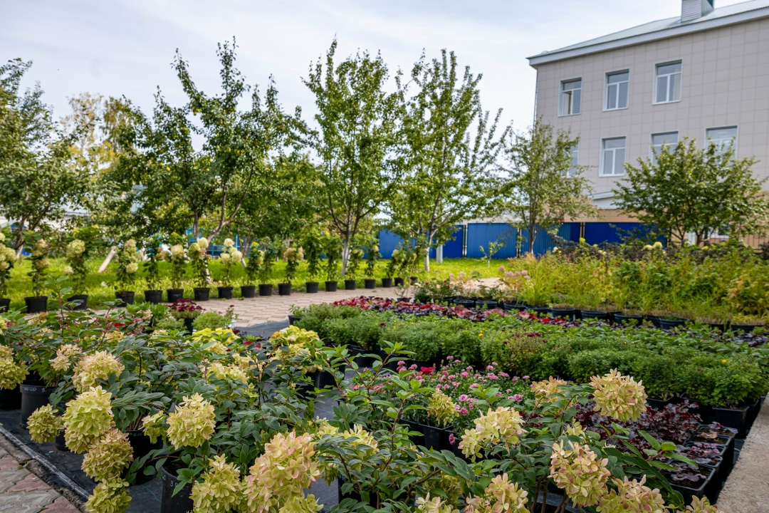Стартовая площадка для научных открытий