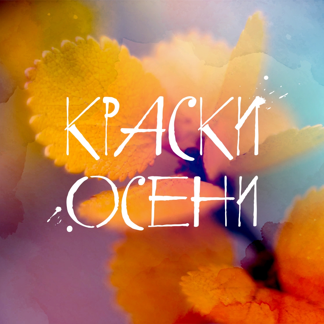 Встречаем самое красивое время года на Крайнем Севере! Ямальская тундра быстро меняет палитру: зеленый уступает место желтому, охристому и красному