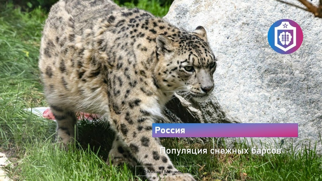 #Когнитивная_Витаминка Выпуск № 367
08.09.2026