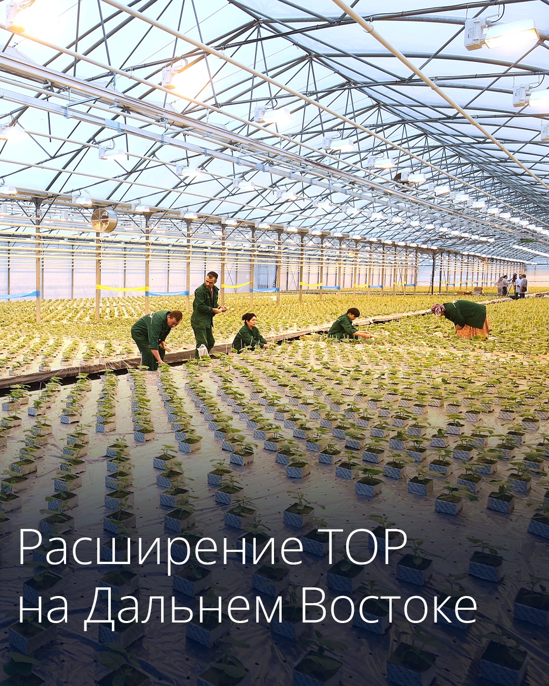 Расширение границ территорий опережающего развития на Дальнем Востоке.