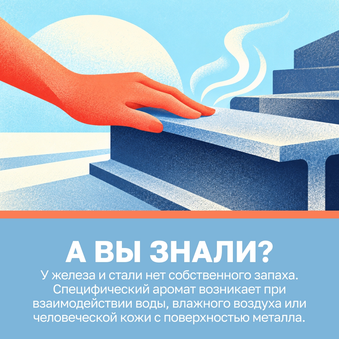 Всё дело в химических реакциях Когда человек касается железа или стали, он оставляет на них микроскопические следы пота и жира от рук, а сам металл окисляется…