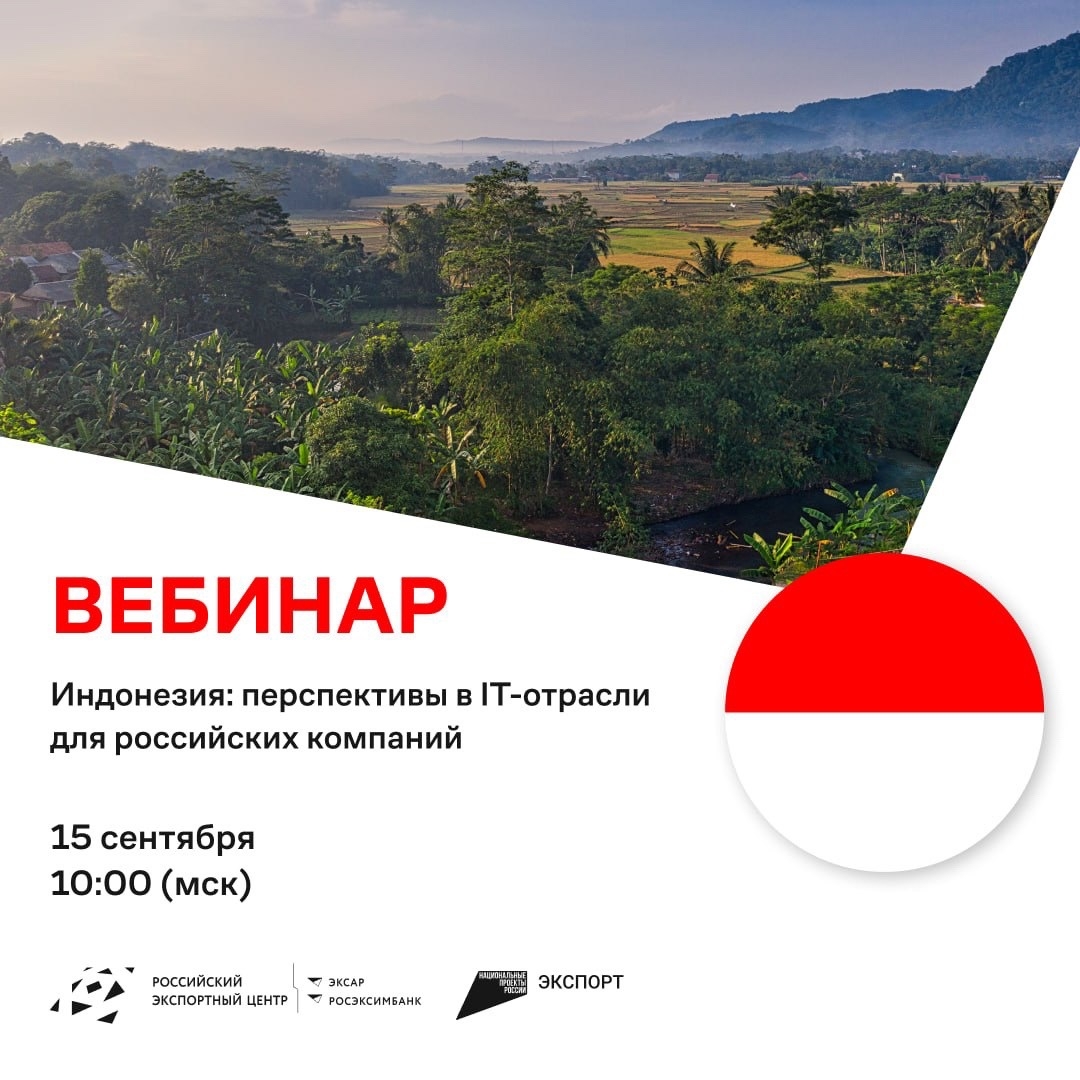 Индонезия: цифровой дракон Юго-Восточной Азии ждет российские IT-решения