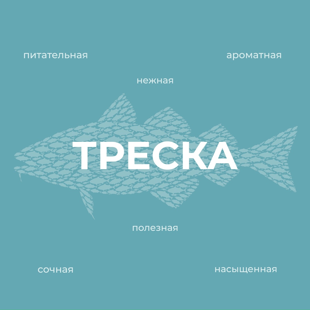 Вместе с АСРФ продолжаем рубрику #рыбный_четверг. Сегодня в центре внимания – треска, одна из самых известных и востребованных промысловых рыб.