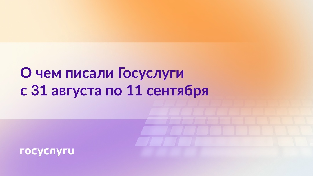О чем писали Госуслуги с 31 августа по 11 сентября