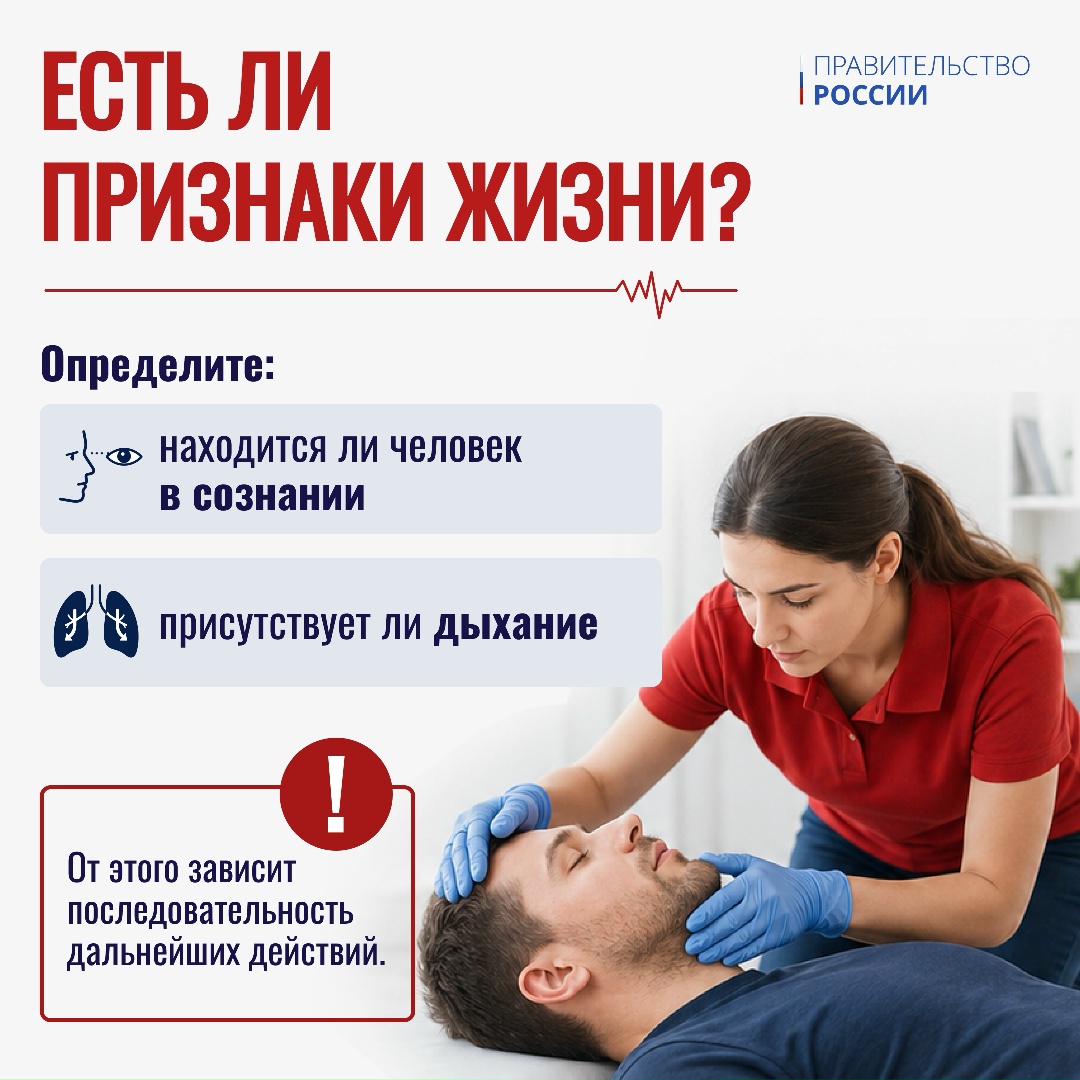 Первая помощь – это простые действия для спасения жизни человека в случае травмирования, несчастного случая или внезапного приступа заболевания, которые можно…