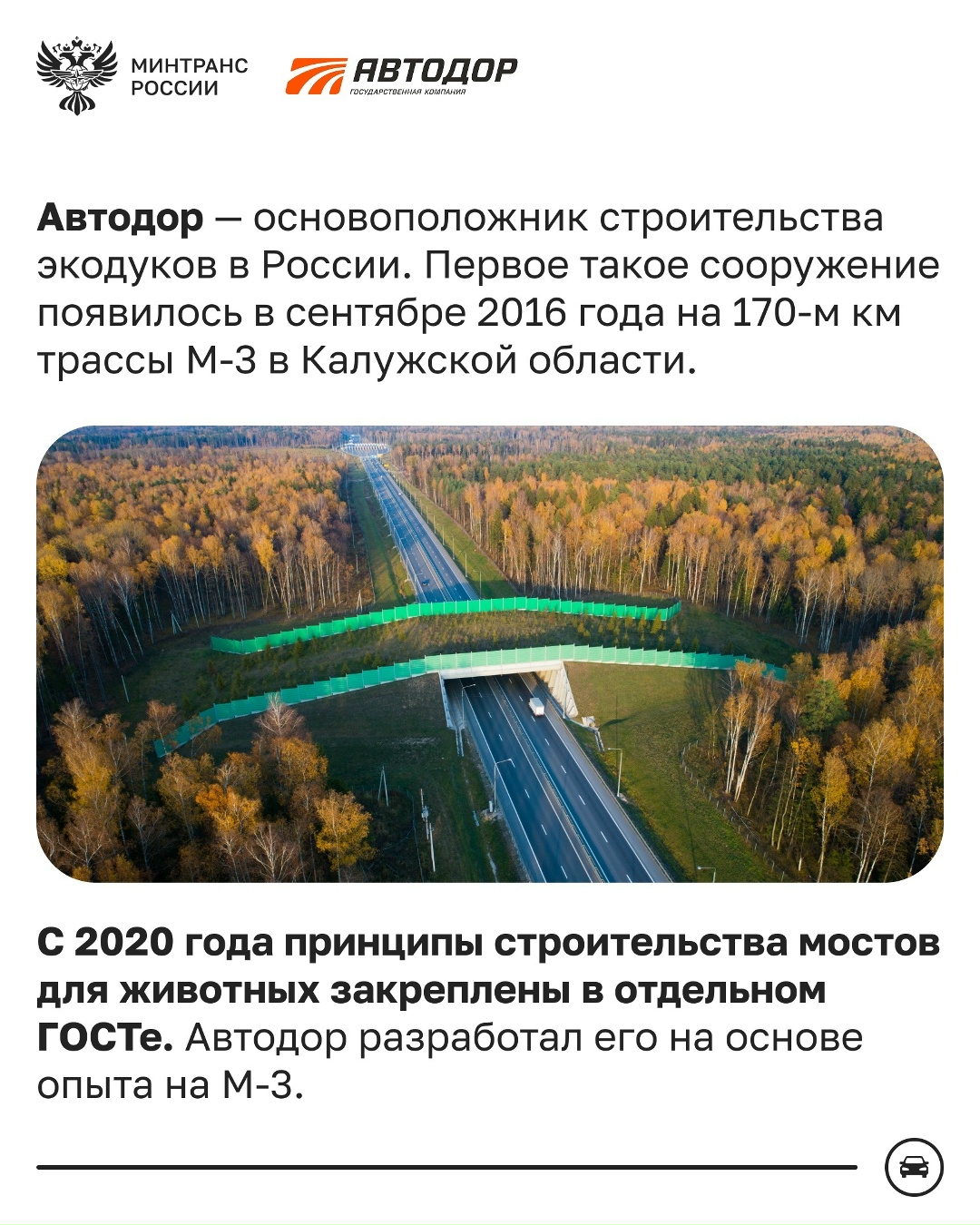 Как диким животным безопасно перейти трассу?