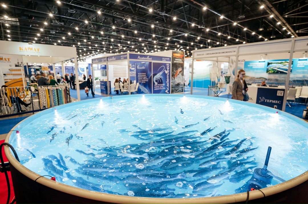 В Петербурге пройдет Международный рыбопромышленный форум и Seafood Expo Russia – 2026