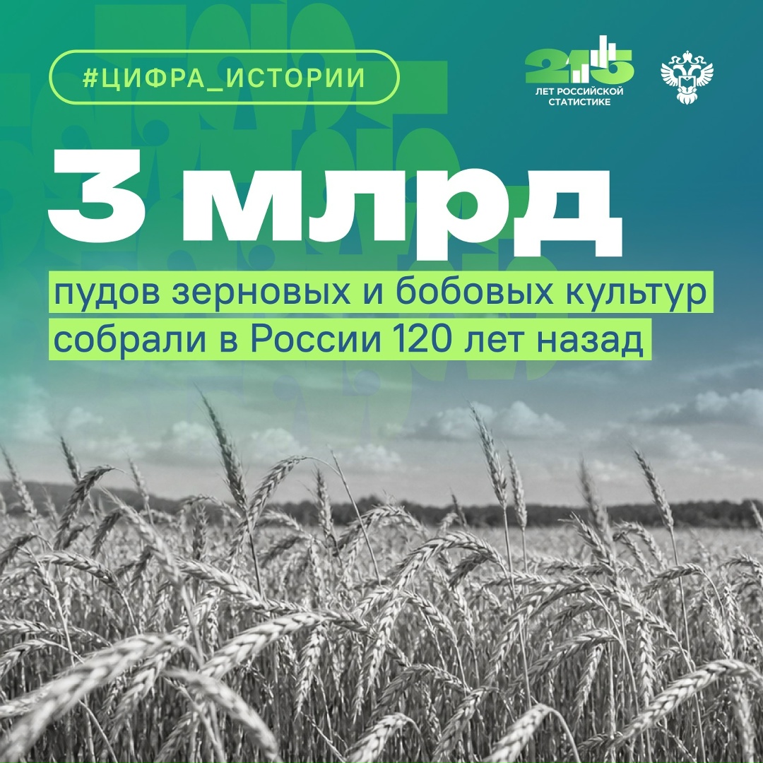 В начале XX века статистики без помощи цифровой техники сводили губернские отчёты, чтобы понять, чем живёт страна в разных секторах экономики.