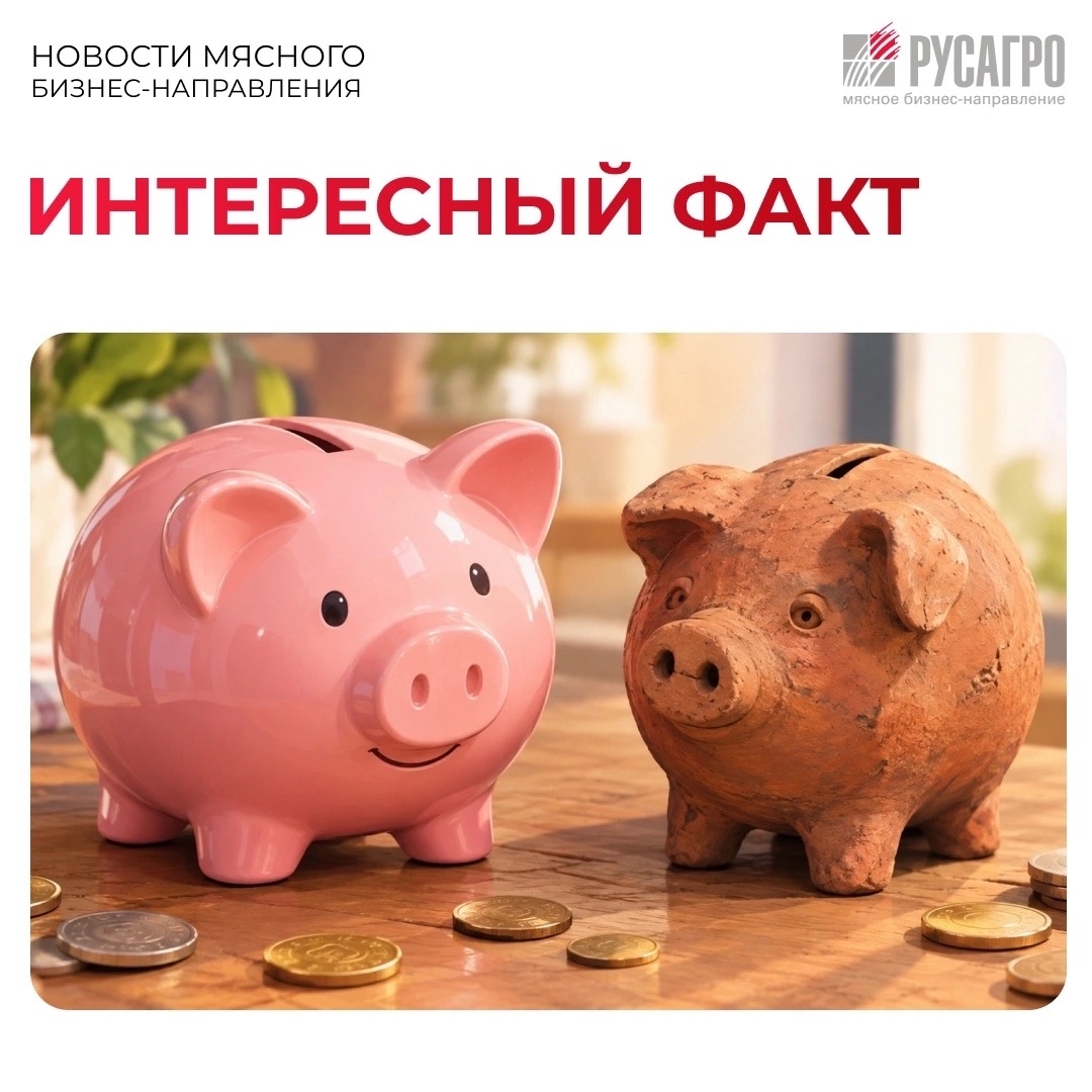 От глиняного горшка до символа бережливости – почему копилки делают в виде свиней?
