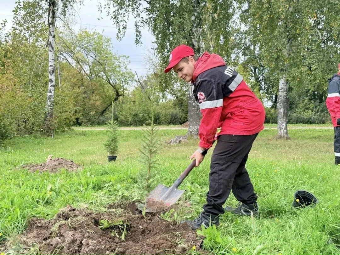 Зелёная карта ЛУКОЙЛа В Пермском крае появилась новая аллея из 35 елей